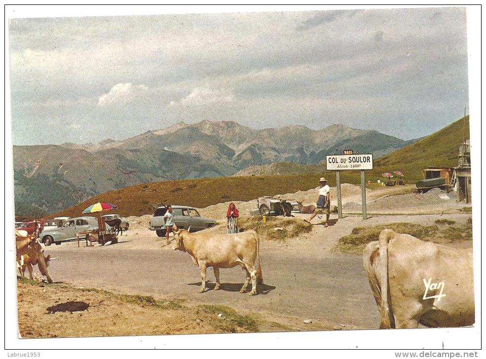 Col Du Soulor-vaches -voiture 203---(Réf.8113) - Sonstige & Ohne Zuordnung