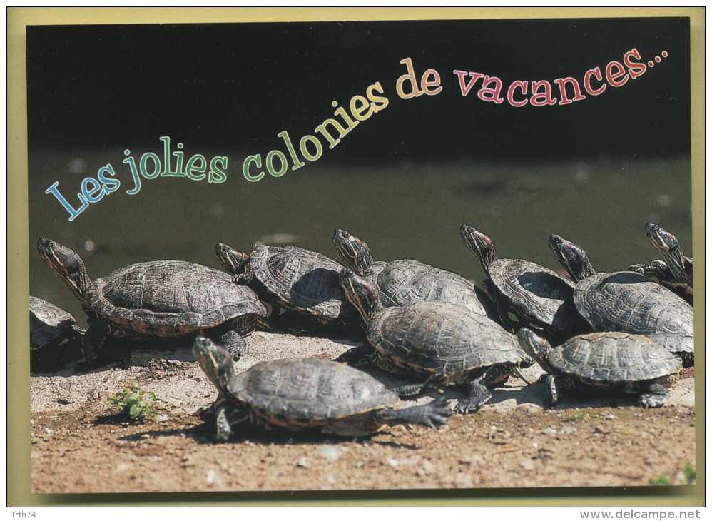 Les Jolies Colonies De Vacances ( Tortues ) - Schildpadden