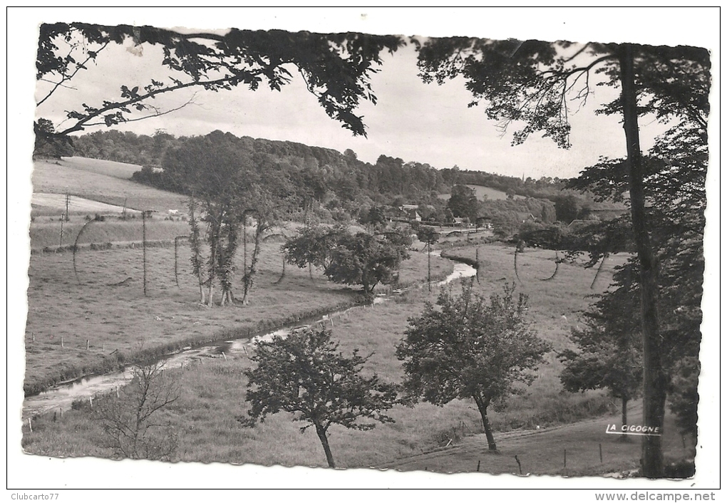 Auffay (76) : Les Bords De La Scie En 1957  PF. - Auffay