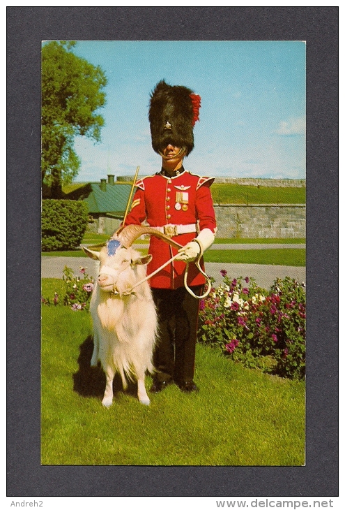 QUÉBEC - ROYAL 22e RÉGIMENT -  Soldier & Goat Mascot  22e Regiment At La Citadelle  - PHOTO LAVAL COUET - Québec - La Citadelle