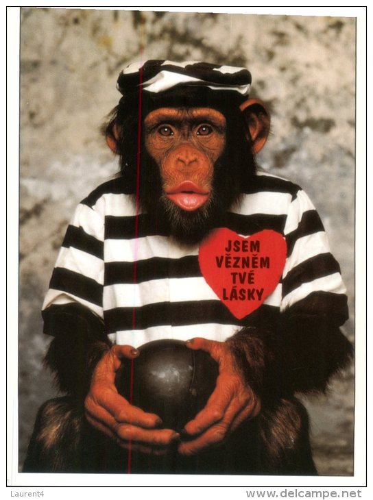 (718) Ape In Goal Cloth And Bullet - Prison