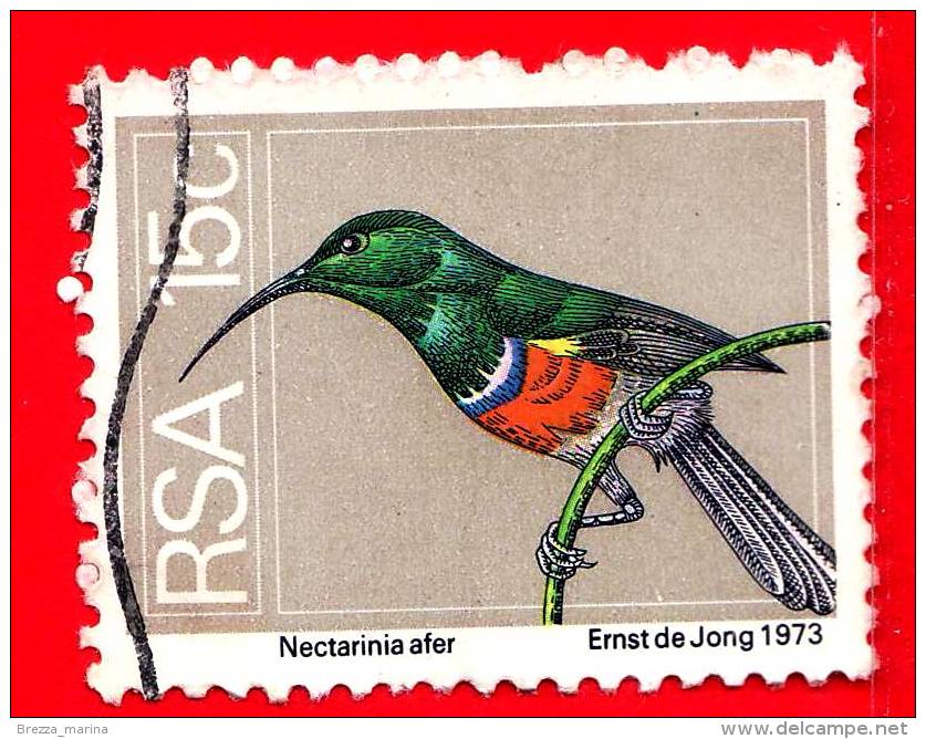 RSA - SUD AFRICA - 1974 - Uccelli - Birds - Oiseaux - Nectariania Afer - 15 - Gebraucht
