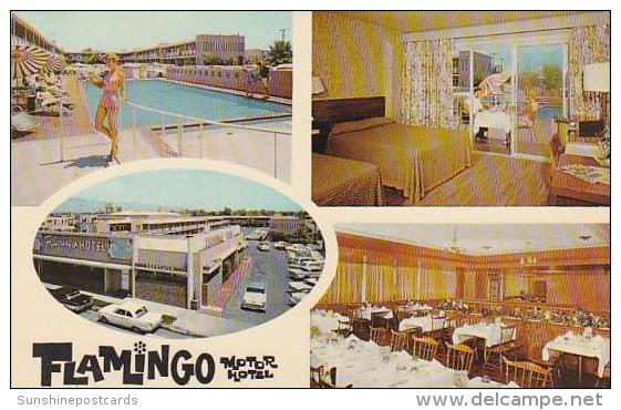 Arizona Tucson Flamingo Motor Hotel - Tucson
