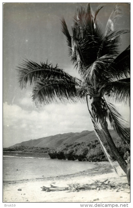 NOUVELLE CALEDONIE - CARTE PHOTO - Nouvelle Calédonie