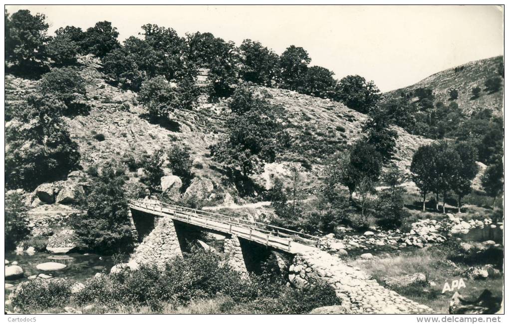 Dourbies  Passerelle Sur La Dourbie  Cpsm Format  Cpa - Autres & Non Classés