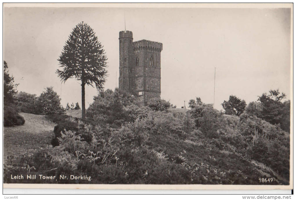POSTCARD 1930 CA. DORKING LEITH HILL TOWER - Other & Unclassified