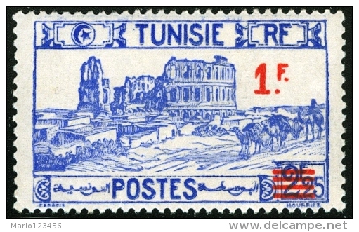 TUNISIA, FRENCH PROTECTORATE, ANFITEATRO DI EL DJEM, 1940, FRANCOBOLLO NUOVO (MLH*), Mi 238, Scott 152, YT 226 - Neufs