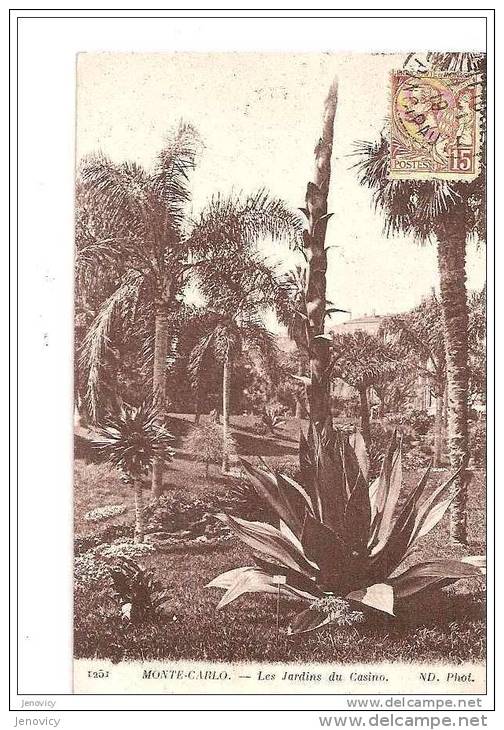 MONTE CARLO. LES JARDINS DU CASINO. LES GRANDES PLANTES. REF 15419 - Exotische Tuin