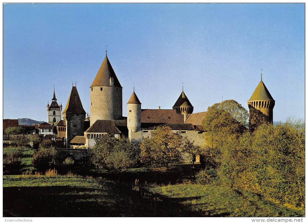 Estaveyer Le Lac     74    Le Chateau     Format 10x15   Voyagée 1981 - Autres & Non Classés