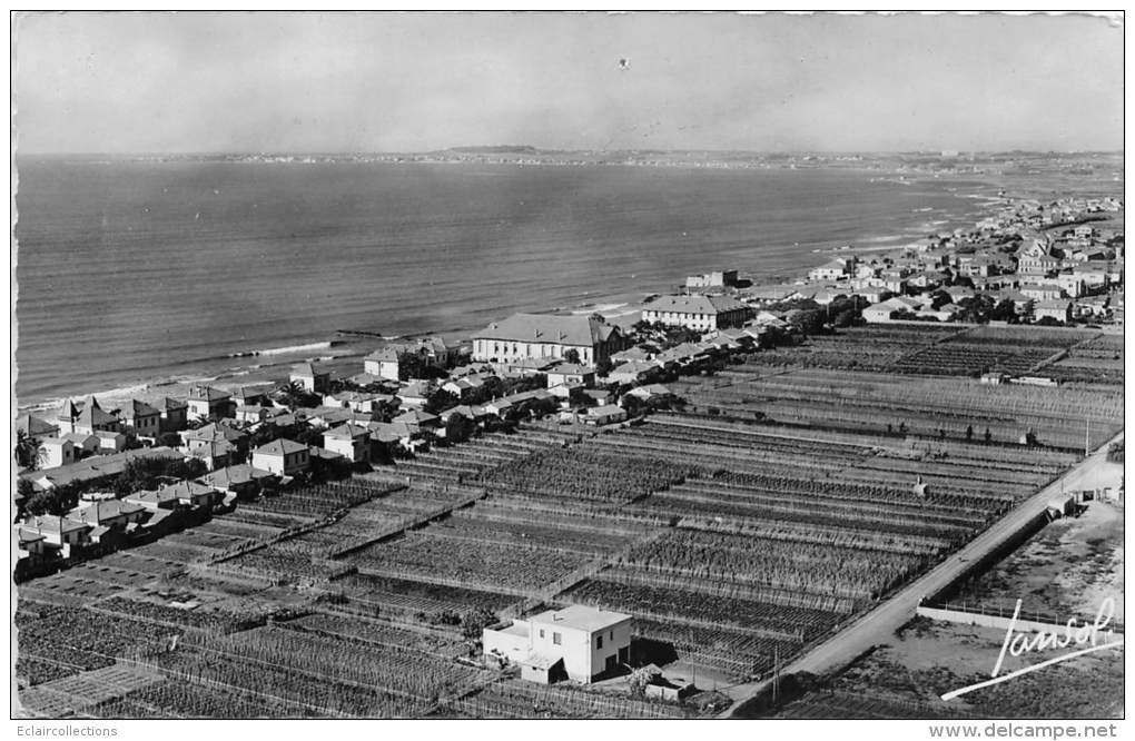 Algérie   Fort De L'Eau     Vue Générale   Année 1950 - Andere & Zonder Classificatie