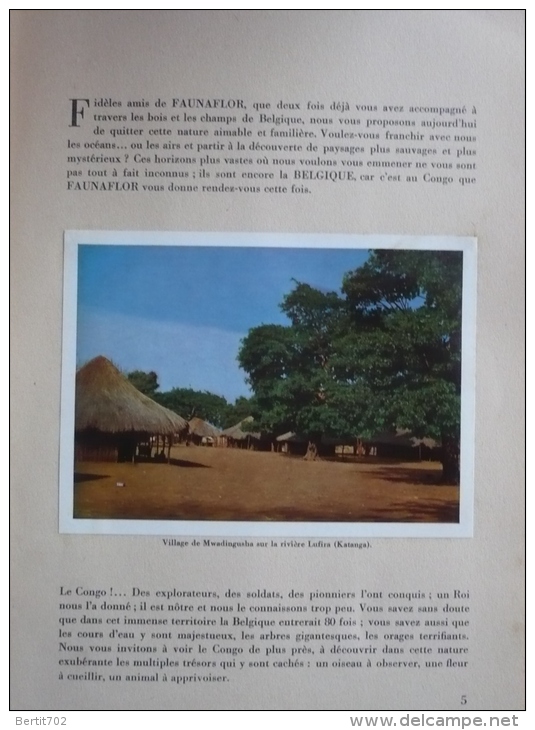 GROS ALBUM FAUNAFLOR-CONGO 1956 - Au royaume des animaux et des plantes édité par le chocolat COTE D'OR