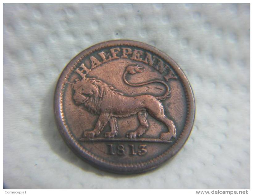 1813 HALF PENNY HALFPENNY LION TOKEN - Altri & Non Classificati