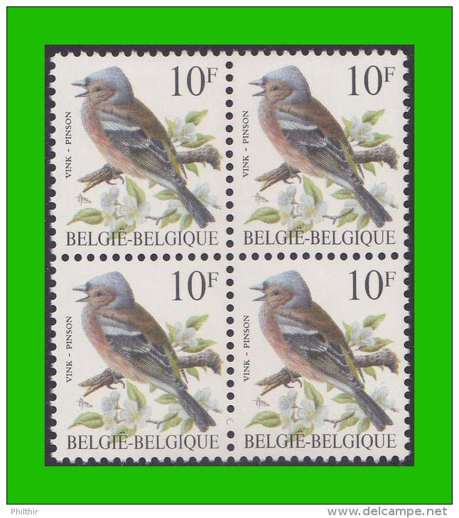 BUZIN - 2351** Pinson / Vink - S2F (witte Gom Blanche - Fosfor Papier Phosphore) - 1985-.. Vögel (Buzin)