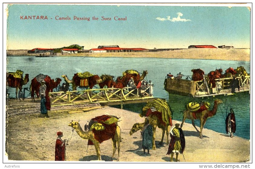 EGYPTE KANTARA CAMELS PASSING THE SUEZ CANAL - Suez