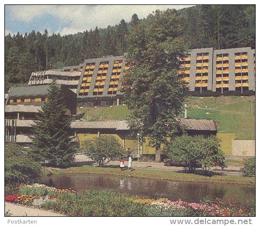 POSTKARTE BAD RIPPOLDSAU PANORAMA SCHWIMMBAD Bath Piscine Schwarzwald Black Forest Foret-noire Ansichtskarte AK Postcard - Bad Rippoldsau - Schapbach