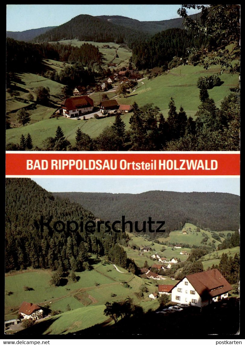 ÄLTERE POSTKARTE BAD RIPPOLDSAU ORTSTEIL HOLZWALD Schwarzwald Black Forest Foret-noire Ansichtskarte Cpa Postcard - Bad Rippoldsau - Schapbach