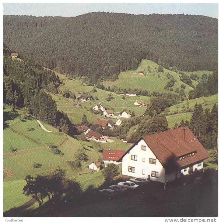 ÄLTERE POSTKARTE BAD RIPPOLDSAU ORTSTEIL HOLZWALD Schwarzwald Black Forest Foret-noire Ansichtskarte Cpa Postcard - Bad Rippoldsau - Schapbach