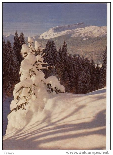 CPA KLEINWASERTAL- MOUNTAINS, CHALET STAMP - Kleinwalsertal