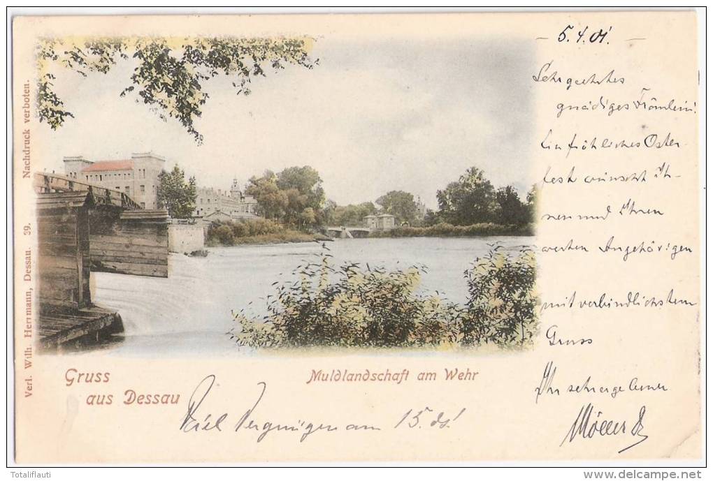 Gruss Aus Dessau Muldlandschaft Am Wehr Color 5.4.1901 Gelaufen - Dessau