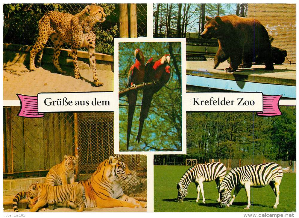 CPSM Krefeld-Zoo   L1474 - Krefeld