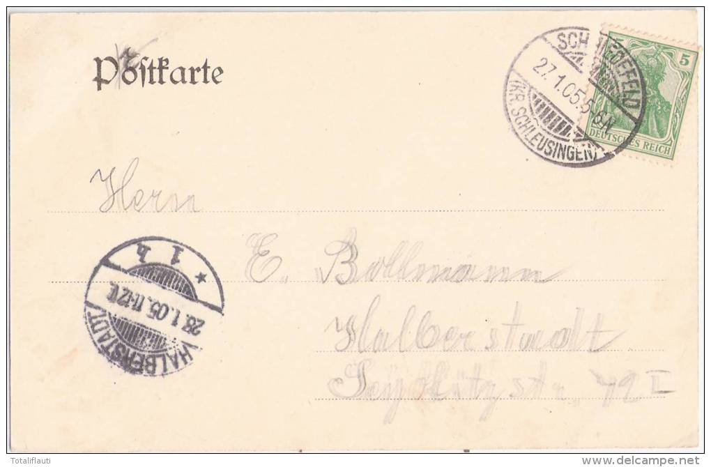 Gruß Aus Schmiedefeld Kreis Schleusingen Panorama Grünlich 27.1.1905 Gelaufen - Schmiedefeld