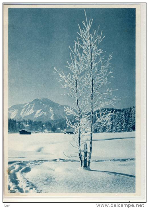 WINTERLANDSCHAFT - Karte V. SOS Kinderdorf - Fotografie