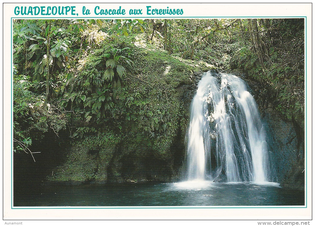 Francia--Guadeloupe---Route Des Mamelles--Cascade Aux Ecrevisses - Otros & Sin Clasificación