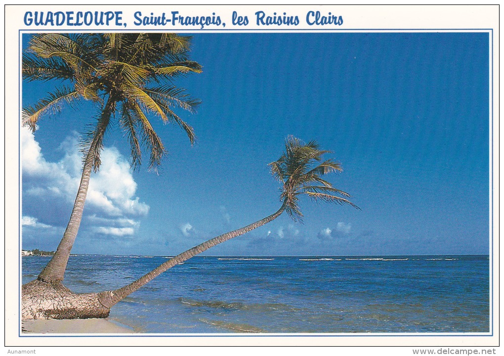 Francia-Guadeloupe--Saint Francois--Plage Des Raisins Clairs - Otros & Sin Clasificación