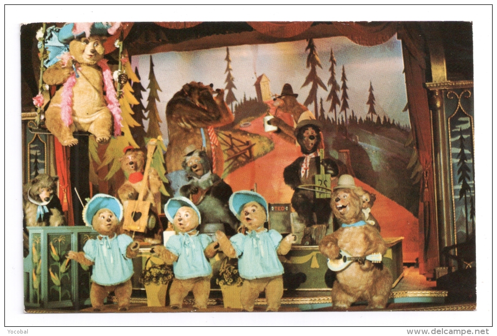 CP, WALT DISNEY WORLD, THE COUNTRY BEAR JAMBOREE, Voyagé En 1981 - Disneyworld