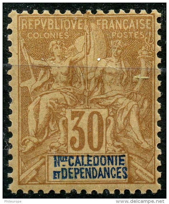 Nouvelle Caledonie (1892) N 49 * (charniere) - Vide