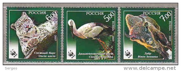 Russia 2007 Rare Animals.MNH - Neufs