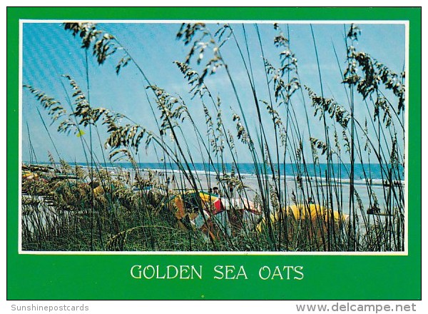 Greetings From Myrtle Beach Golden Sea Oats Myrtle Beach South Carolina - Myrtle Beach