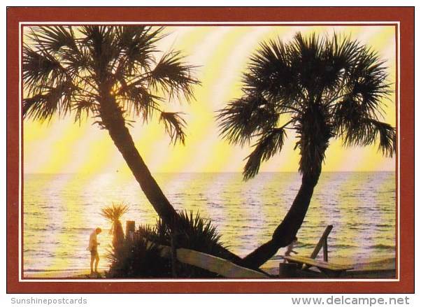 Palmetto Palms Line The Golden Grand Stand Beaches Of North Myrtle Beach South Carolina - Myrtle Beach