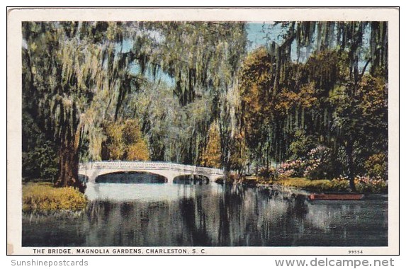 The Bridge Magnolia Gardens Charleston South Carolina - Charleston