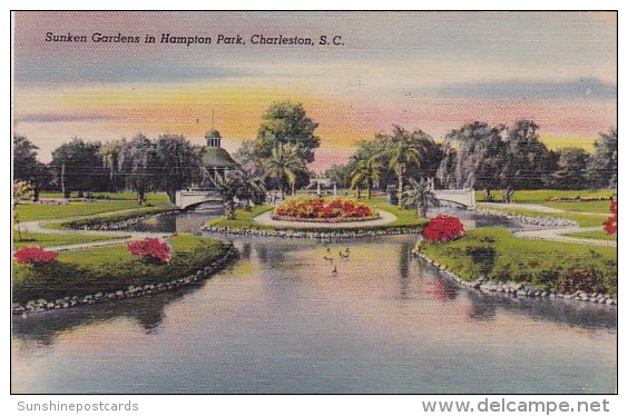 Sunken Gardens In Hampton Park Charleston South Carolina 1945 - Charleston