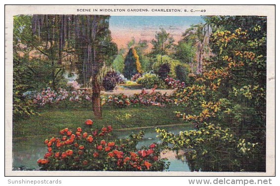 Scene In Middleton Gardens Charleston South Carolina 1937 - Charleston