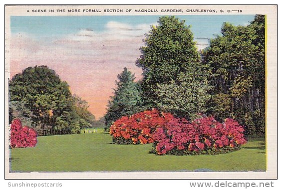 A Scene In The More Formal Section Of Magnola Gardens Charleston South Carolina 1939 - Charleston