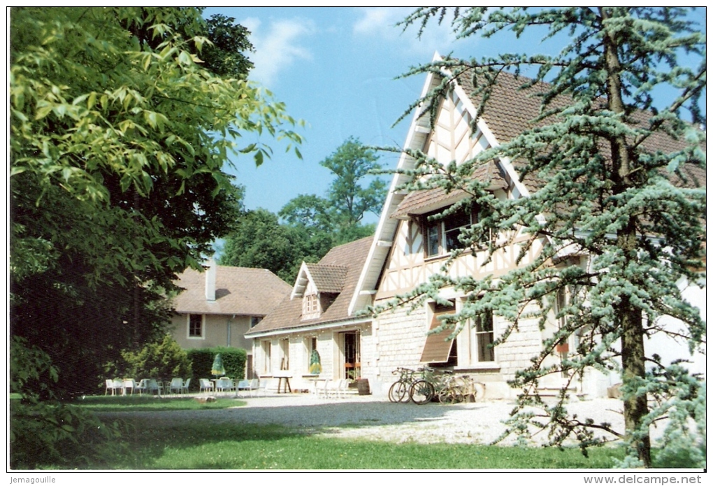 PIERREFITTE SUR AIRE 55 - THILLOMBOIS - Auberge Les Ecuries Du Château - (Photo) -G-3 - Pierrefitte Sur Aire