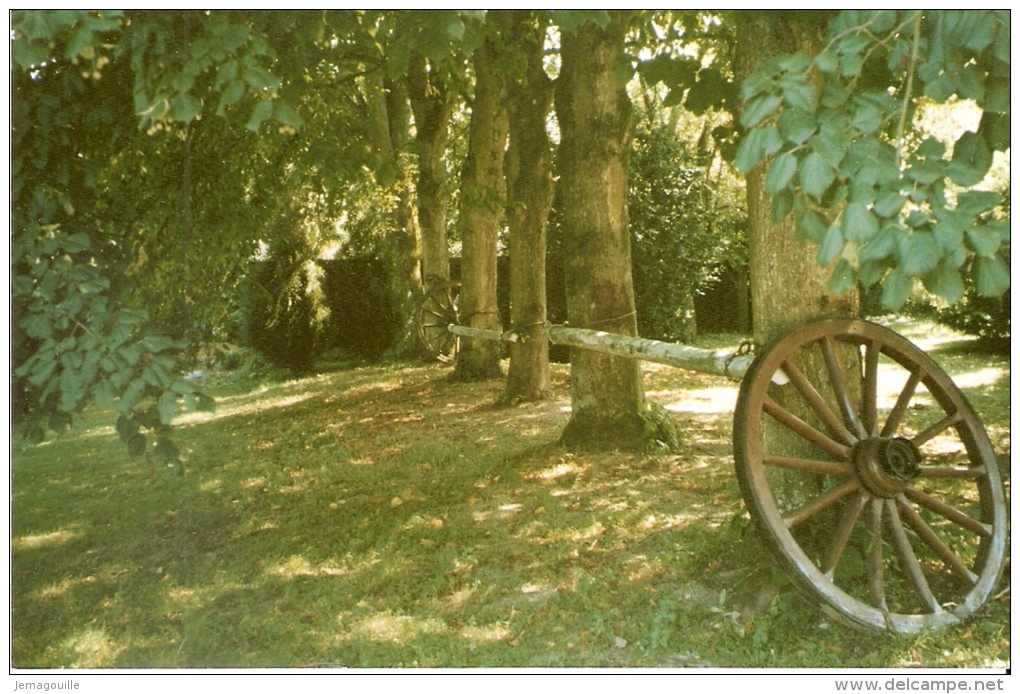 PIERREFITTE SUR AIRE 55 - THILLOMBOIS - Auberge Les Ecuries Du Château - Extérieur (Photo) -G-3 - Pierrefitte Sur Aire