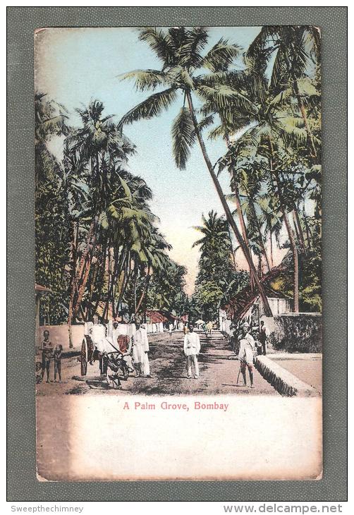 INDIE INDIA  A PALM GROVE BOMBAY  POSTCARD UNUSED - India