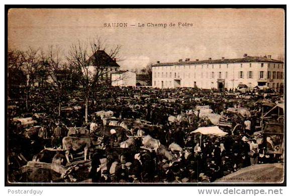 CPA - Saujon  Le Champ De Foire - Cows, Cattle Market 1919 - Soldier's Mail - Saujon
