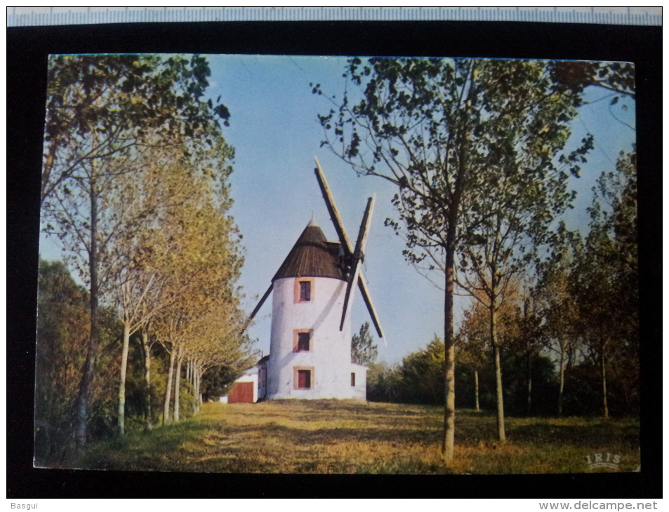 CPM/CPSM D50 Bocage Vendeen Moulin - Saint Michel En L'Herm