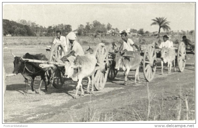 Bangladesh - Hackey Carriage Going Back Home - Bangladesch