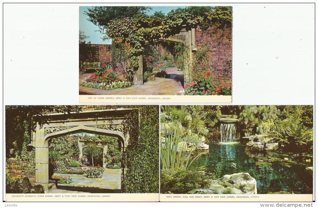 KENSINGTON Derry & Toms Roof Garden 9 Postcards - London Suburbs