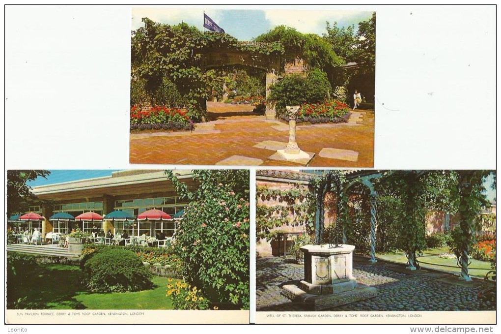 KENSINGTON Derry & Toms Roof Garden 9 Postcards - London Suburbs