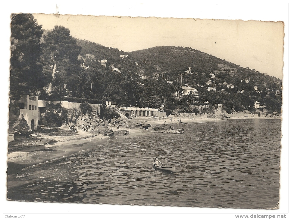 Rayol-Canadel-sur-Mer (83) : Vue Générale De La Plage Au Niveau Des Cabines De Plage En 1961 (animé) GF - Rayol-Canadel-sur-Mer