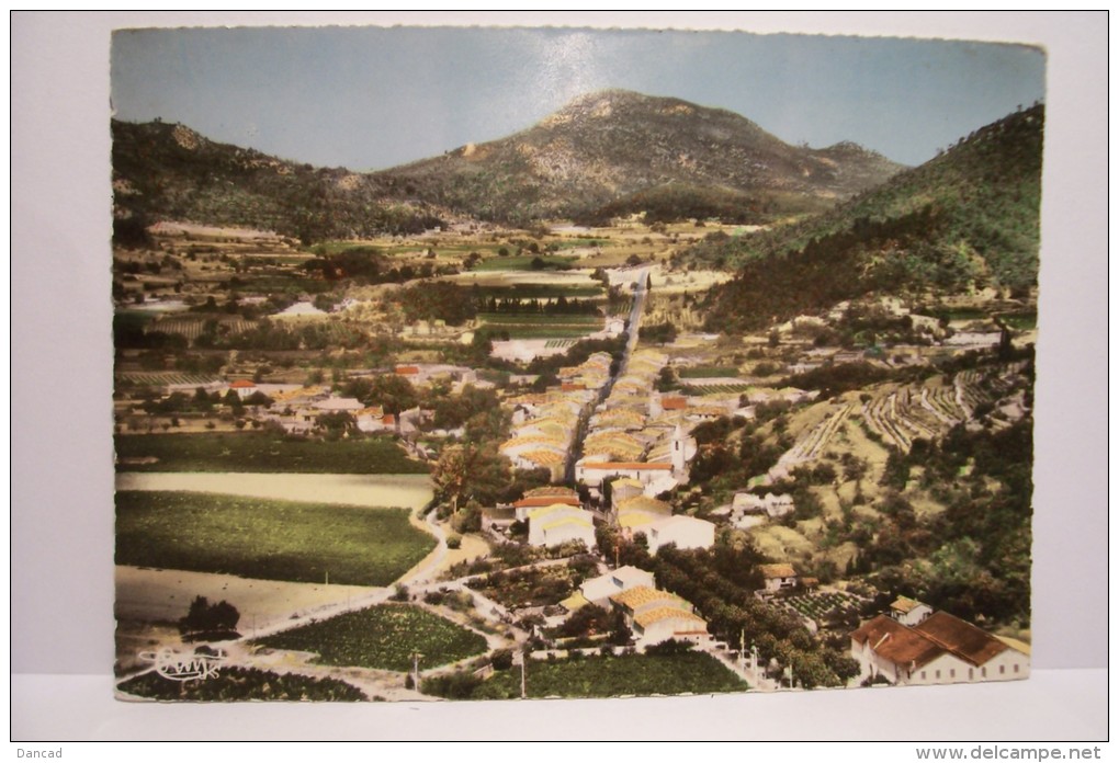 LA ROQUEBRUSSANNE-  Vue Panoramique - La Roquebrussanne