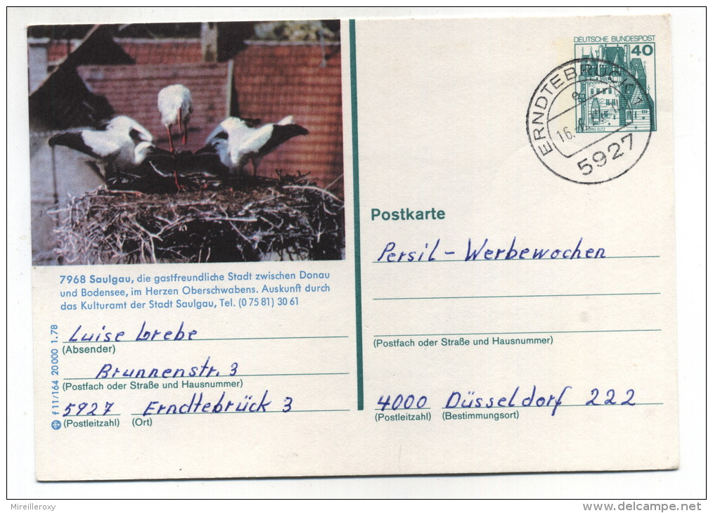 ENTIER POSTAL ALLEMAND CIGOGNE NID - Storchenvögel