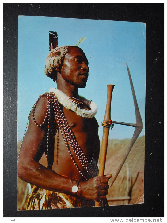 LETTRE SWAZILAND AVEC YT 56 - VALLEE EZULVINI - ELIZABETH II - CPM GUERRIER - - Swaziland (...-1967)