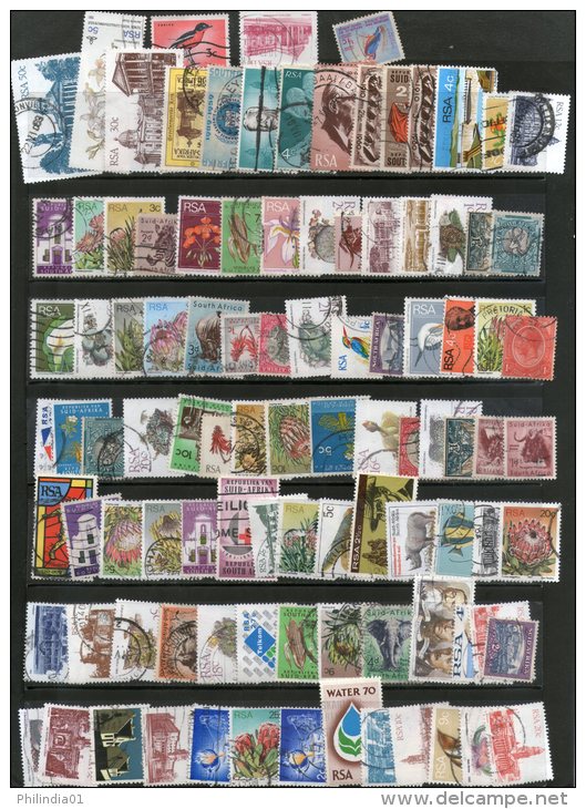 South Africa 100 Diff. Wildlife Animals Flora Fauna Famous Personalities Art Small & Large Used Stamps - Collezioni & Lotti